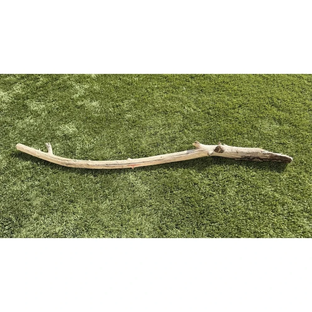 DRIFTWOOD Pacific Ocean California Natural Aquarium Terrarium Use (X-Large) 54